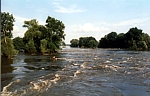 Die Jahrtausendflut an der Oder (1997). Deichburch - Wassermassen strömen in die Brieskower Auen. Nicht mehr zu erkennen was ist die Oder und was ist das Land.